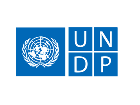 healthyalbania.com-partneret-undp